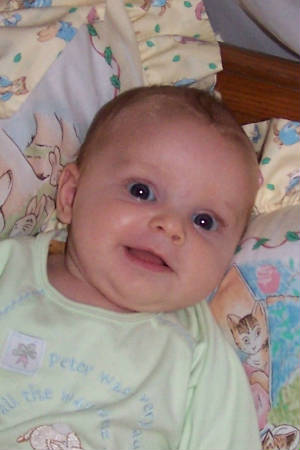 crop110204.jpg