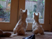 web100_0077.jpg