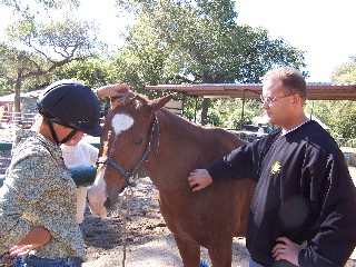 pony110604.jpg
