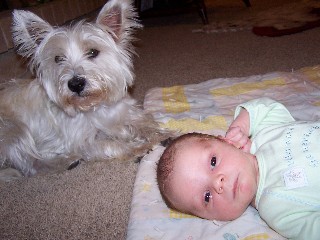 web100_0073.jpg