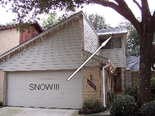 web100_0601.jpg
